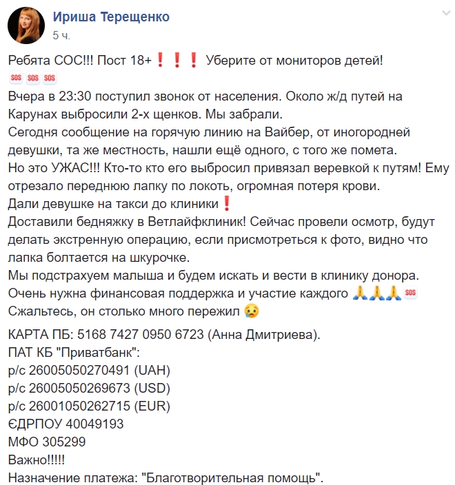 Жестокость не знает границ: в Днепре щенка привязали веревкой к железнодорожным путям